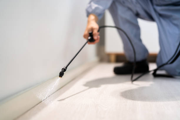 Licensed Pest Control service in Hoboken, NJ - Show Me Pest Control